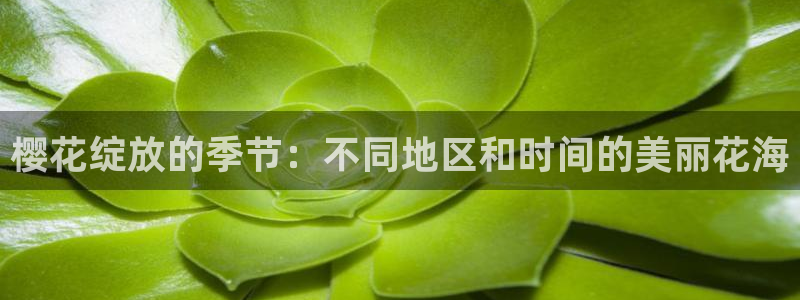 星空图片下载