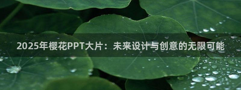 可可影视电视免费播放下载
