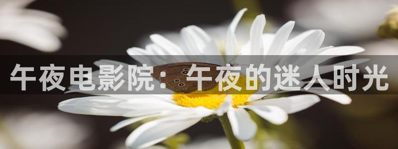 可可影视在线观看影院