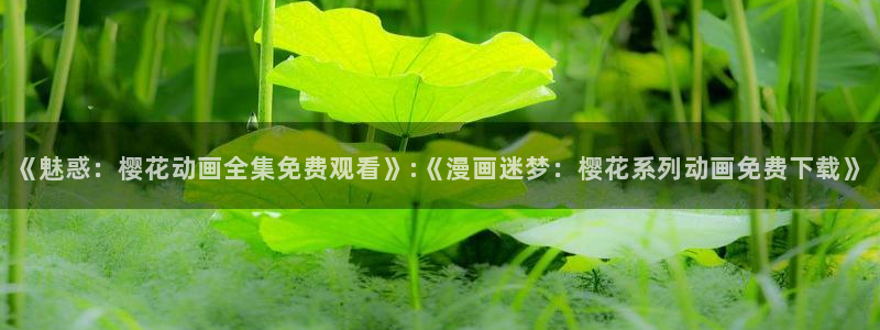 星空电影完整版视频