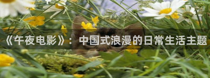 知否知否应是绿肥红瘦免费观看可可影视