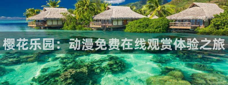可可影视论语