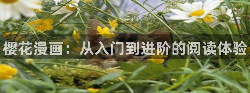 星空策驰影院在线观看