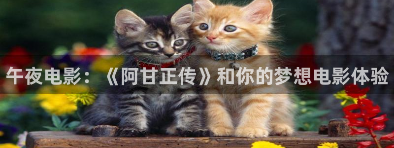 星空在线观看免费高清电视