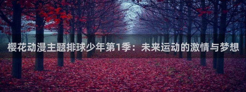 星空影视频道节目表在线