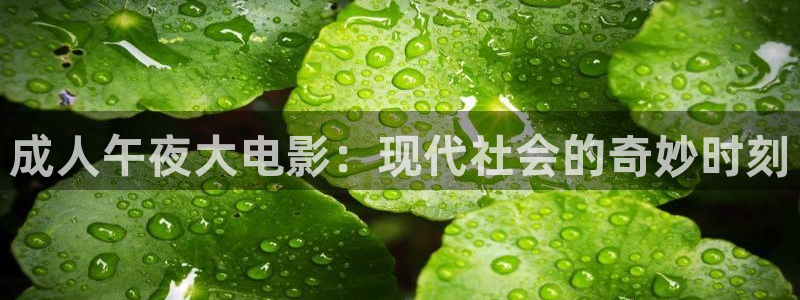 可可影视日本