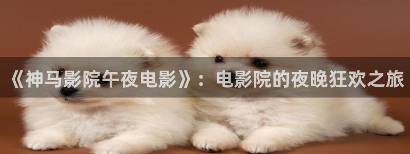 星空在线观看免费播放电影