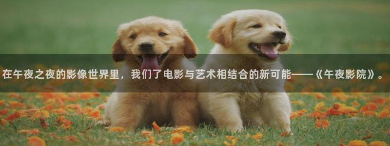 可可影视免费