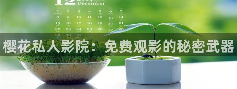 星辰可可影视免费观看电视剧电影