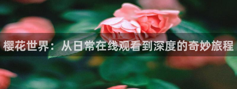 点燃我温暖你电视剧免费观看可可影视