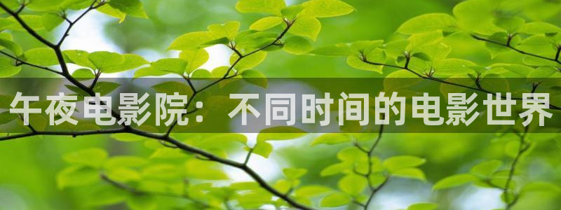 可可影视首页