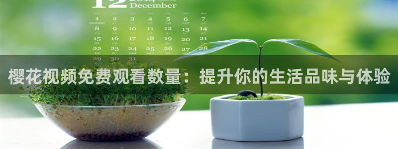 可可影视韩剧