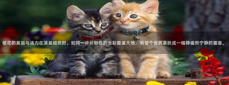 可可影视电视剧在线观看