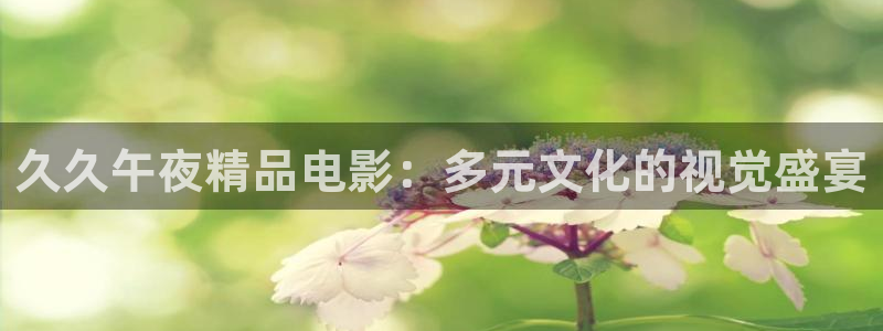 可可影视免费看电影