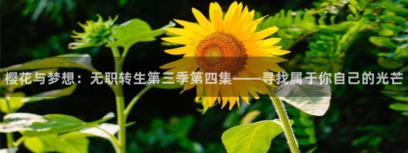 星空视频app