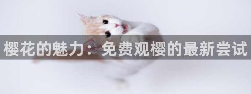 星空影视在线观看