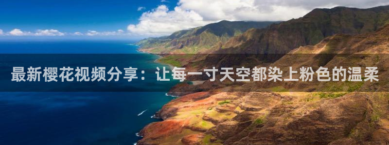 二十不惑星空影视