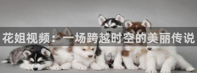 星空视频在线免费观看