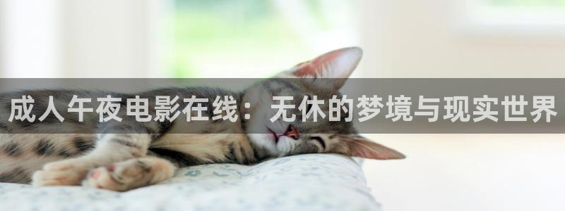 黑色四叶草可可影视