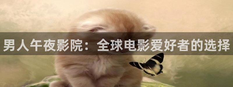 可可影视追剧就上可可影视