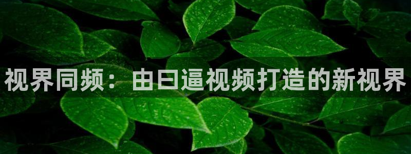 八戒可可影视